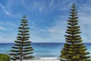 gamrawtek articles by gamerawr