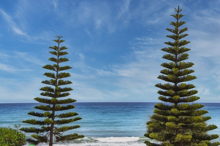 gamrawtek articles by gamerawr