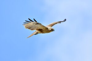 was anyone born on december 6th 2006