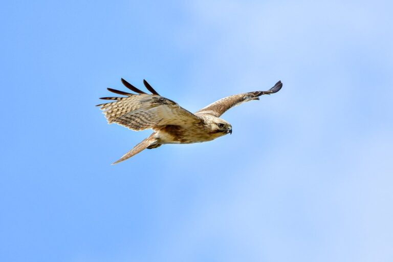 was anyone born on december 6th 2006