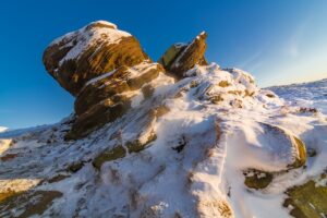 we are all born with a deep primal need for white cheddar