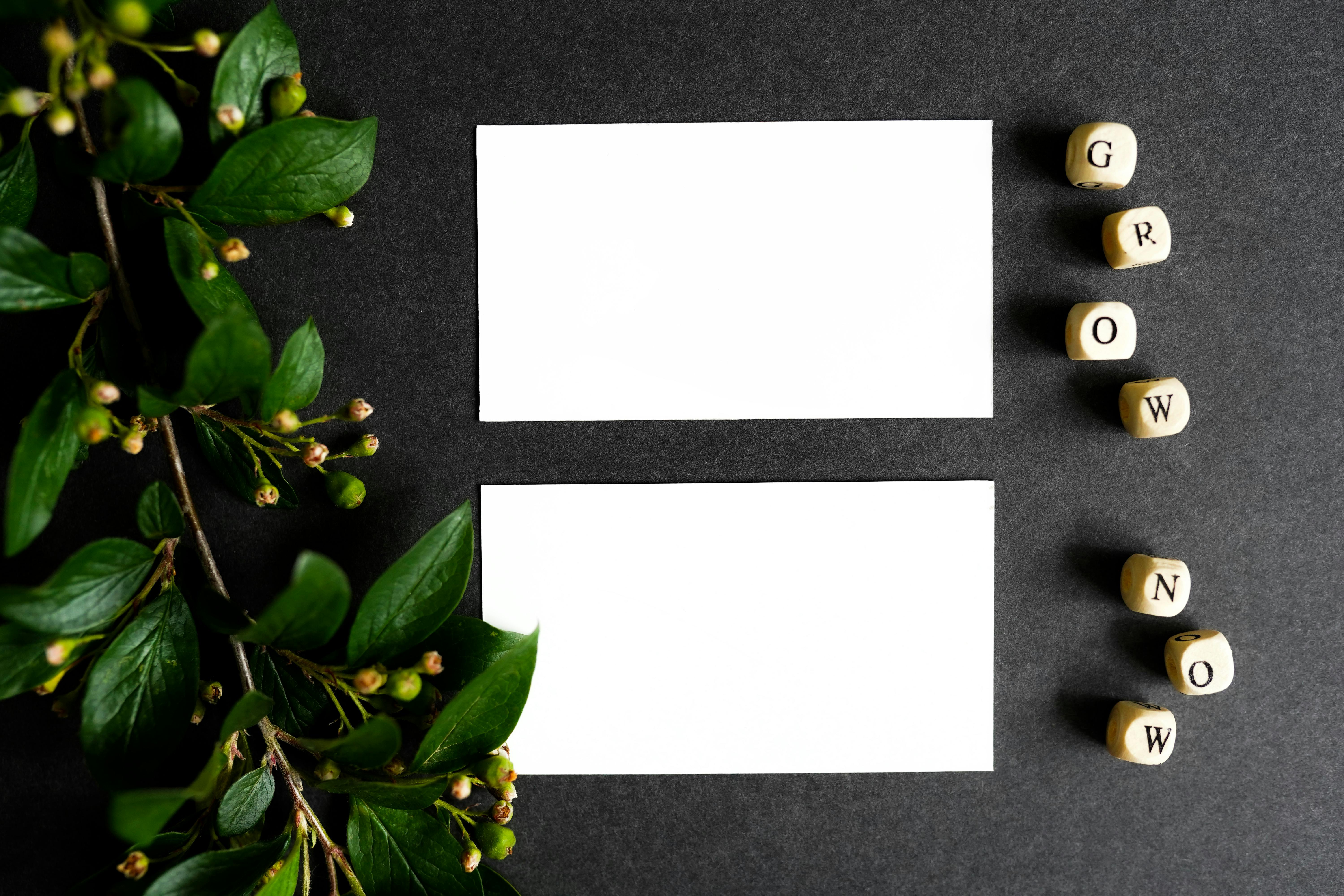 Nature-inspired blank mockup on dark background with green leaves and dice spelling 'GROW NOW.' Perfect for branding and design.