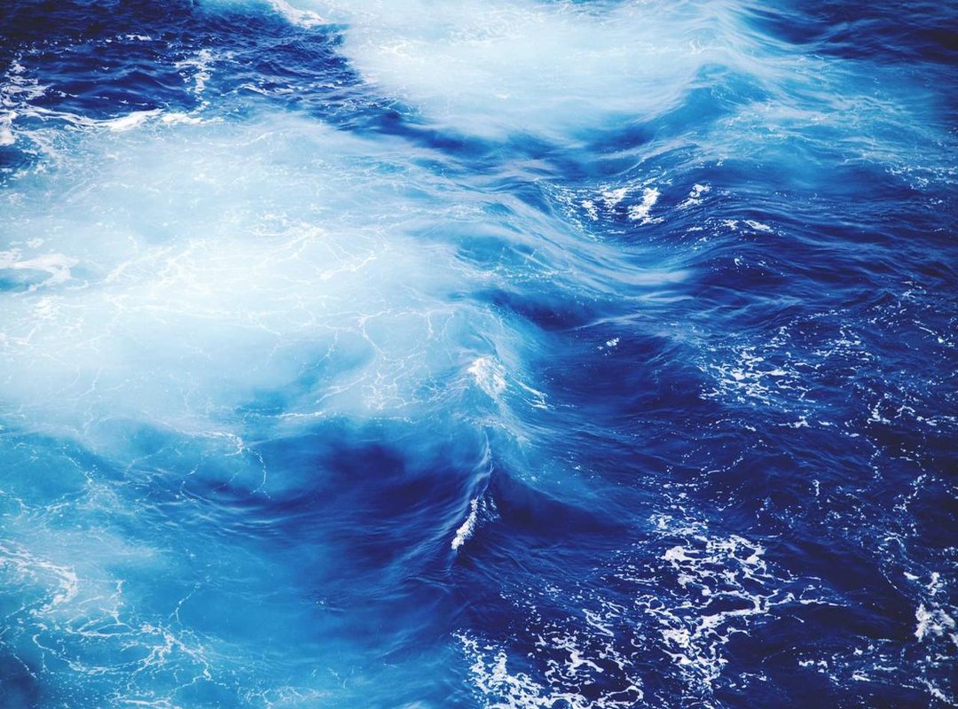 The Court of the Queen of Hearts: Croquet and a Chaotic Trial