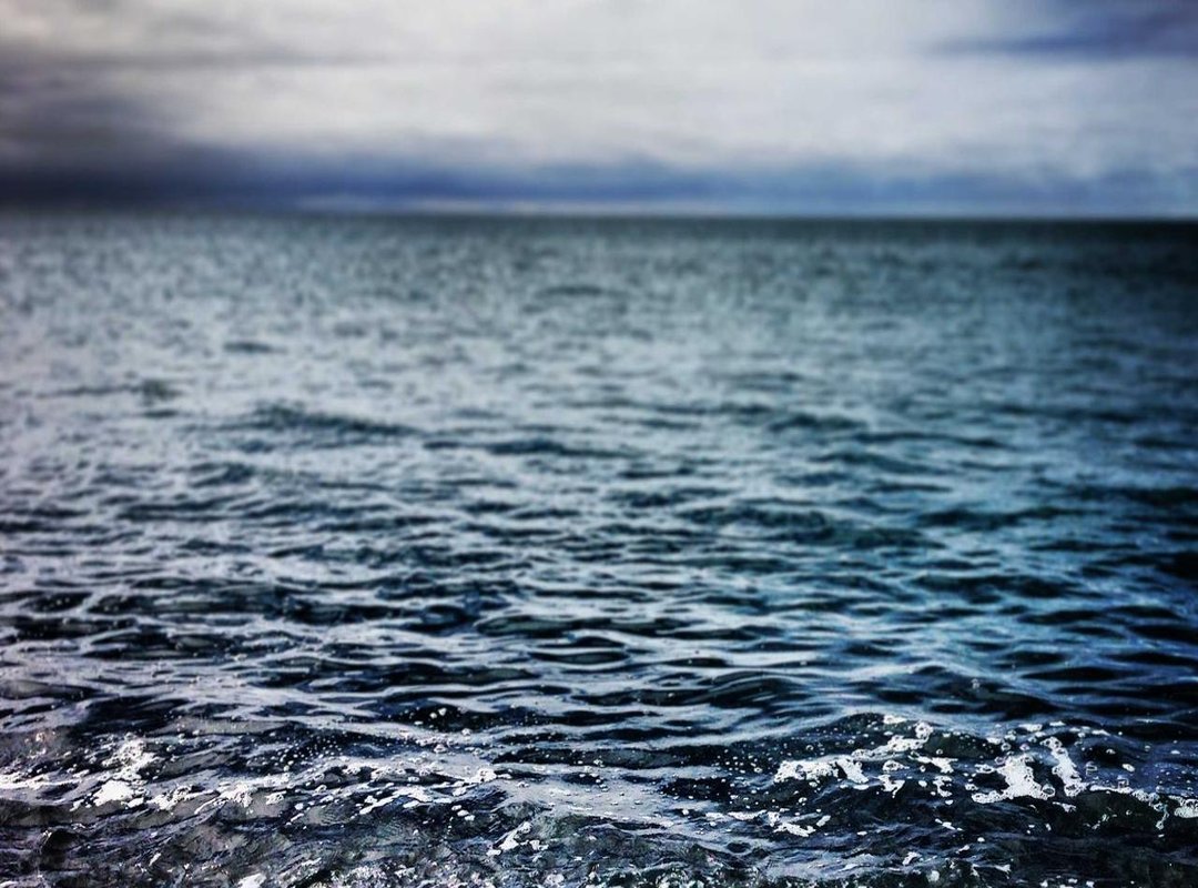 Navigating the Spotlight: Public Image and Fan Reception