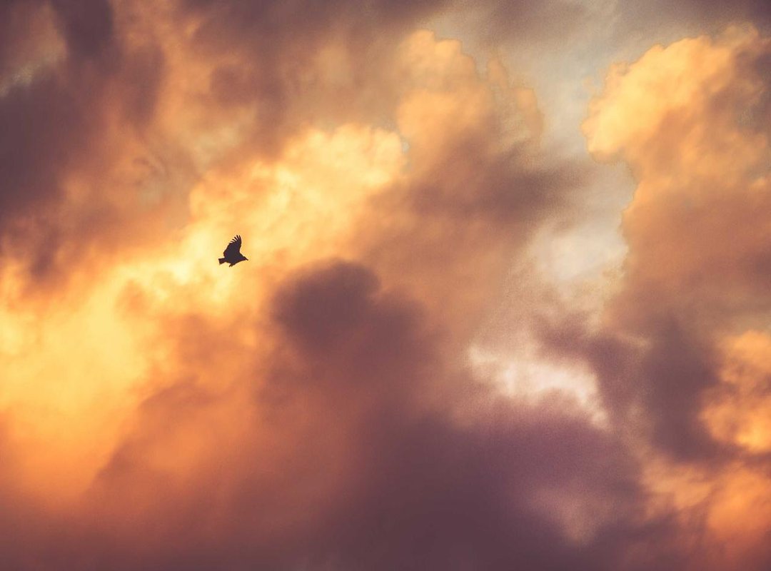 Separating Fact from Fiction: What the Evidence Shows