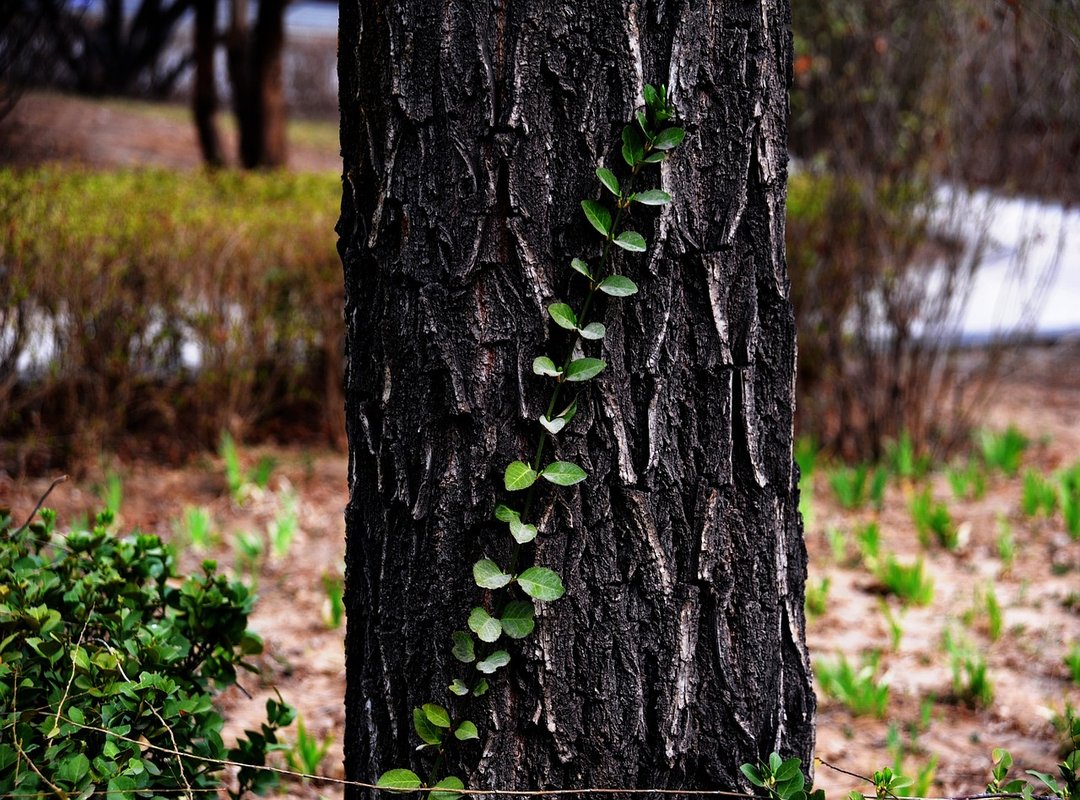 Why Thousands of Students Rely on This Telegram Channel
