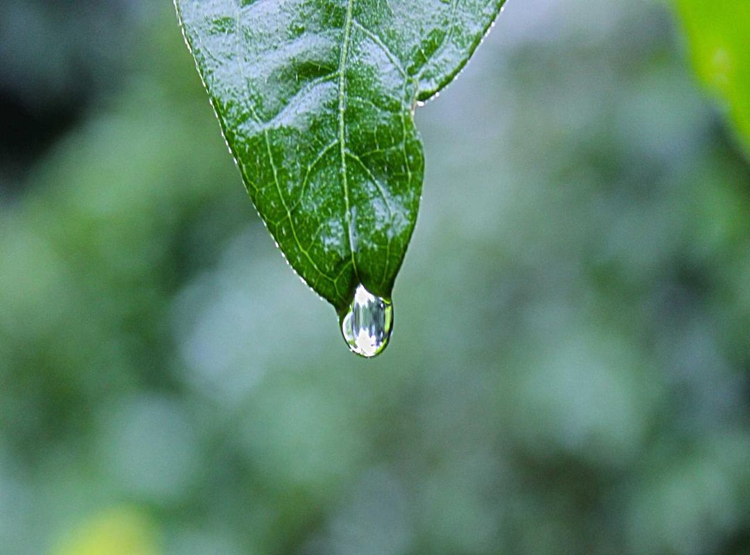 Best on a Budget: Maximum Sweetness for Minimum Spend