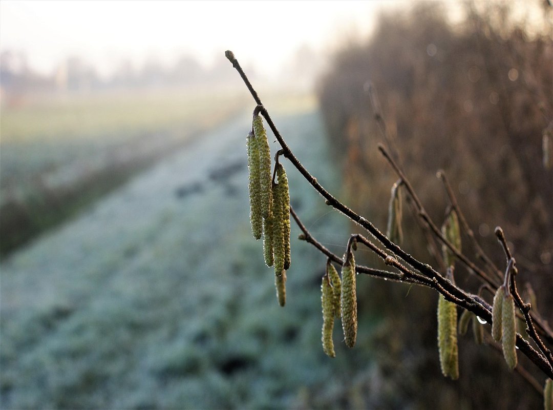 Types of French Gay Telegram Communities You Can Expect to Find