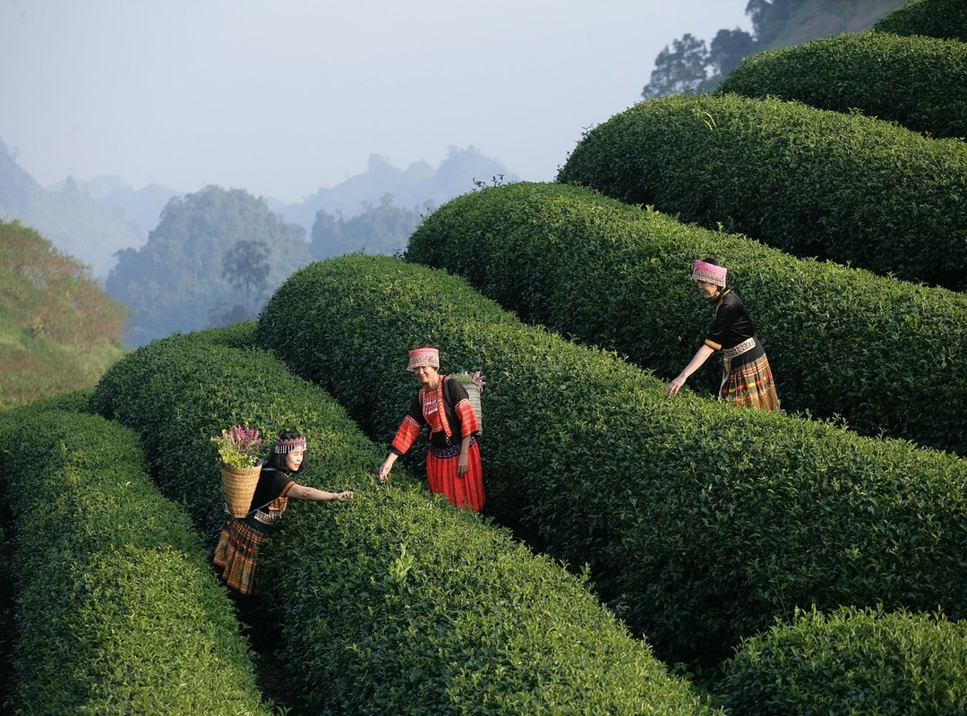 Experience the Power of the SKZ MEGAVERSE