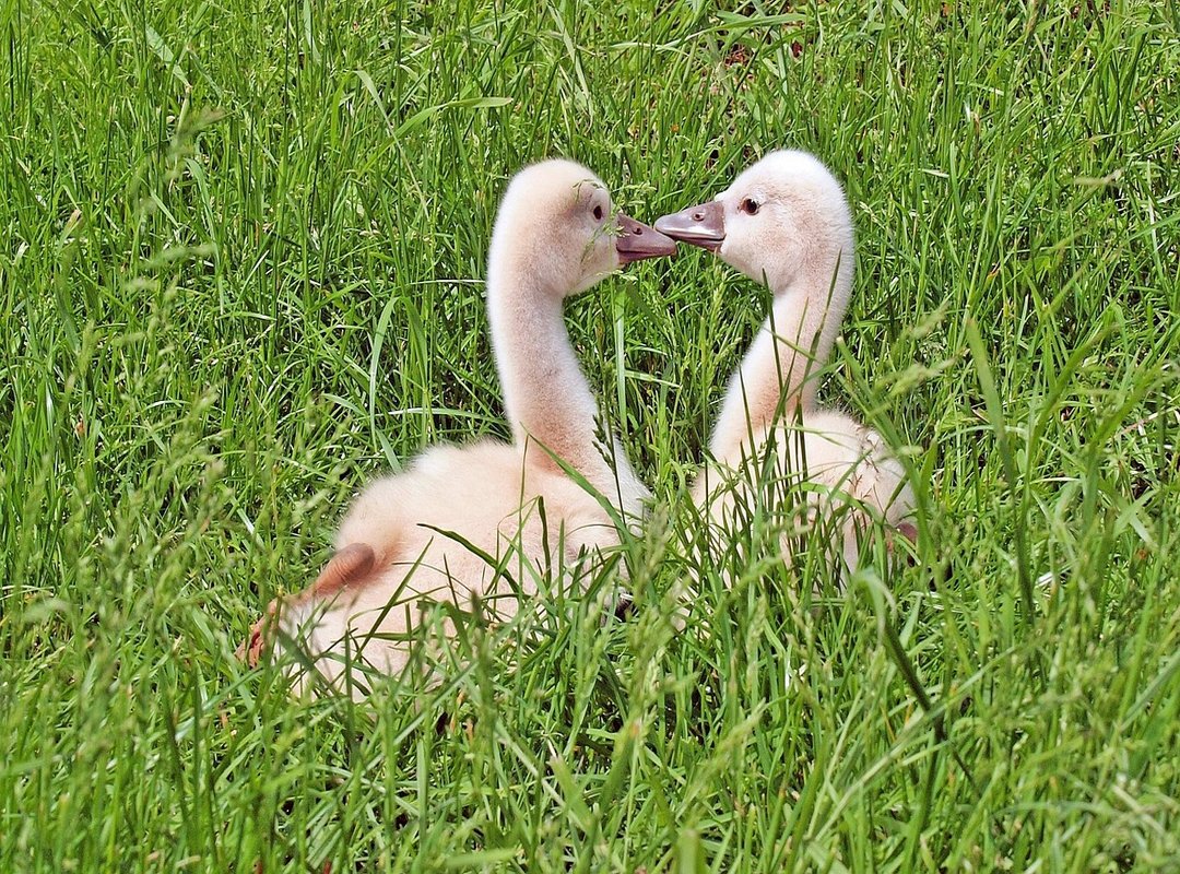 Why We Secretly Root for the Movie Thief