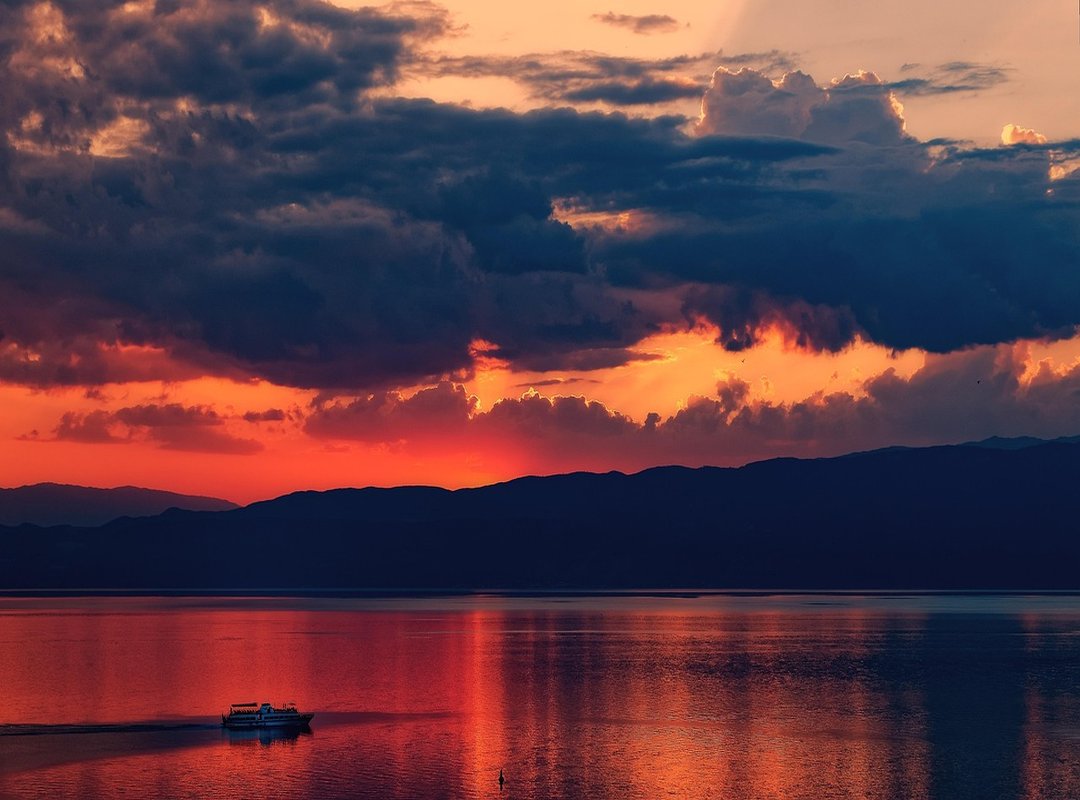 Where to See More From These Rising Stars