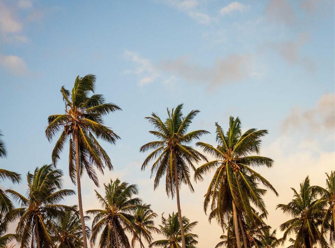 Planning Your Trip: The Best Time of Year to Surf Buchupureo