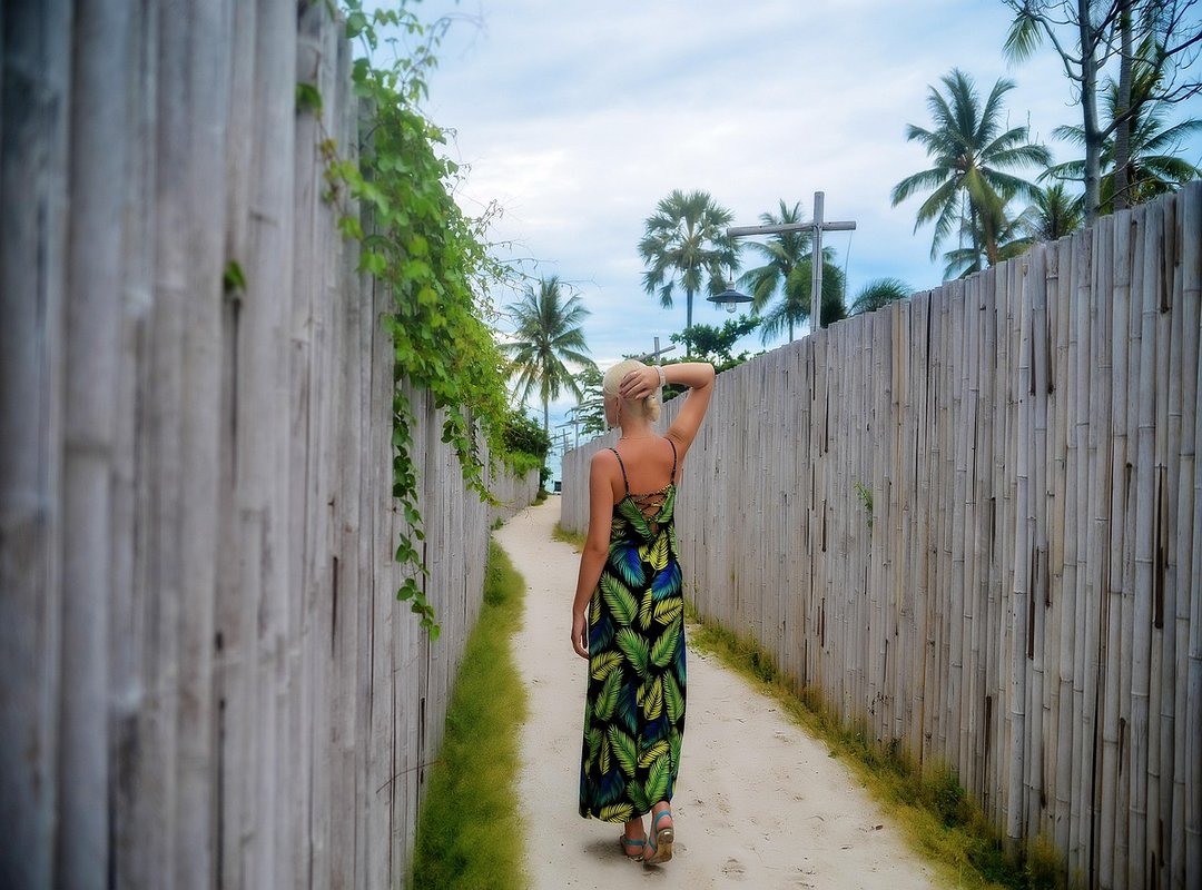 Why Tokyvideo is a Go-To Source for Telenovela Fans