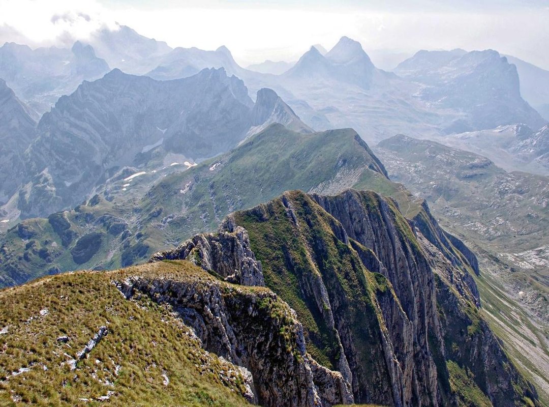 Popular Characters and Their Meanings: Choosing the Right Message for Your Room